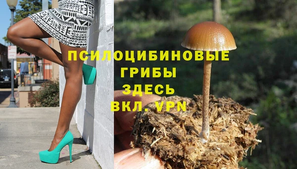 герыч Пестово