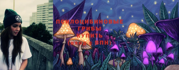 ПСИЛОЦИБИНОВЫЕ ГРИБЫ Баксан