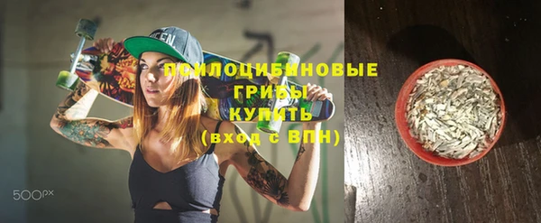 ПСИЛОЦИБИНОВЫЕ ГРИБЫ Баксан
